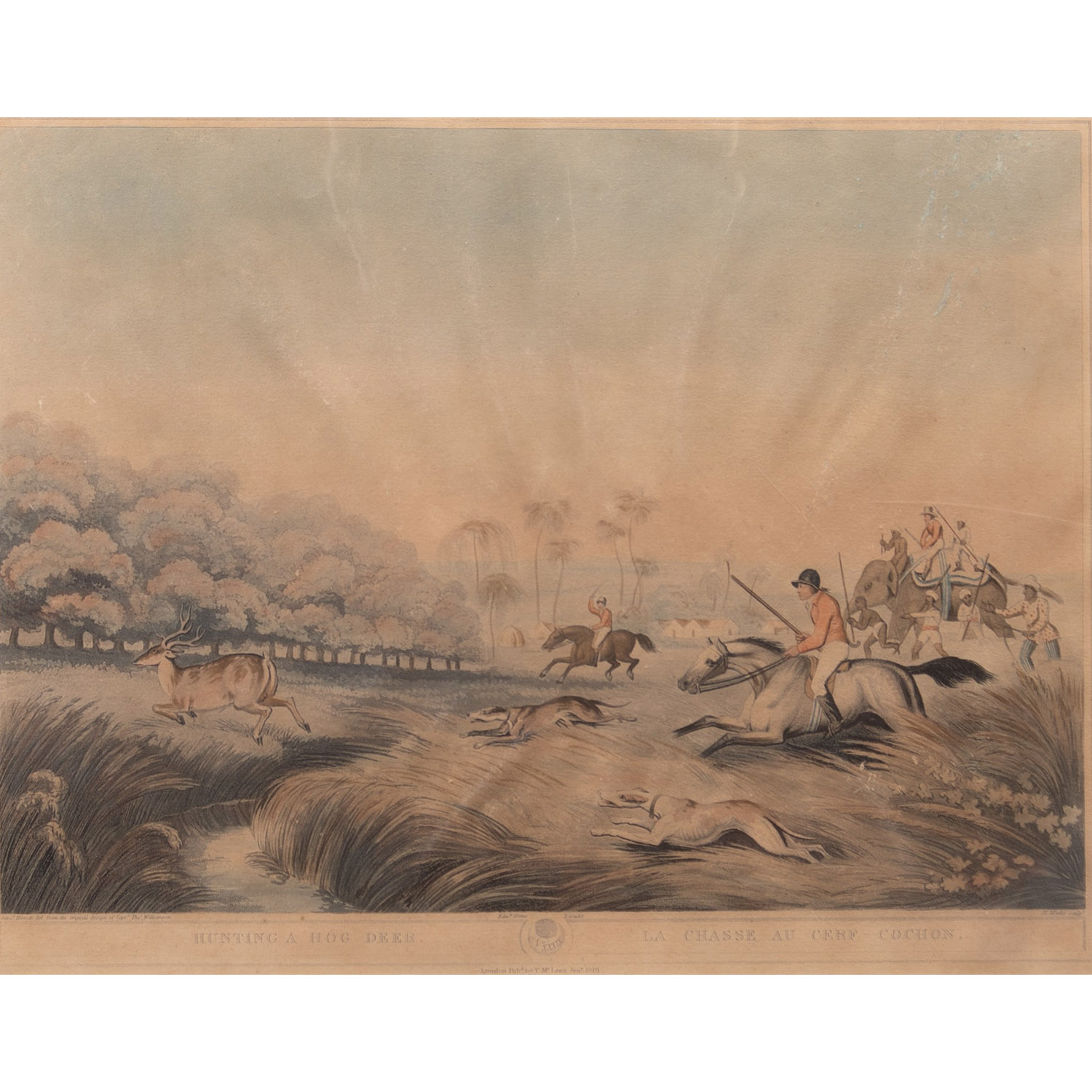 HUNTING A HOG DEER
