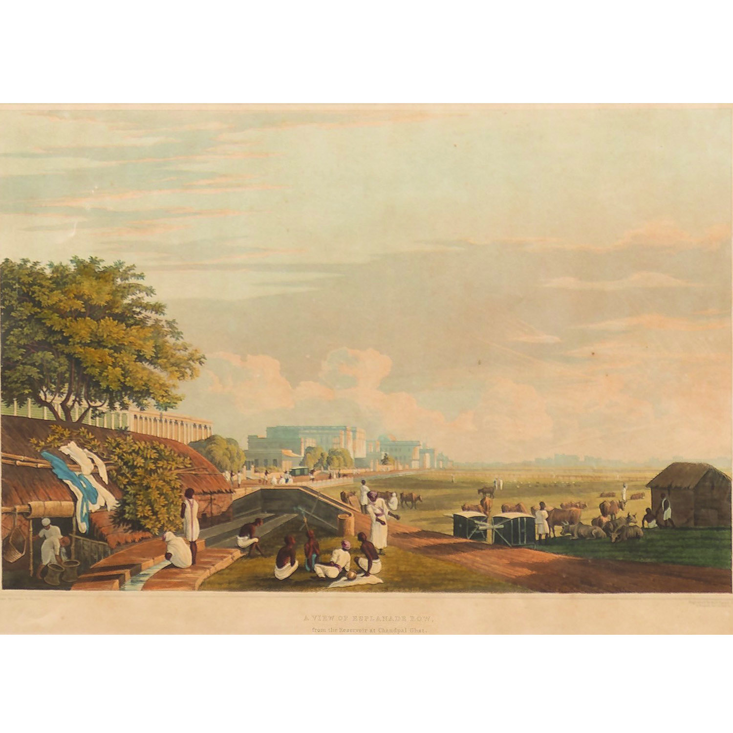 A VIEW OF ESPLANADE ROW