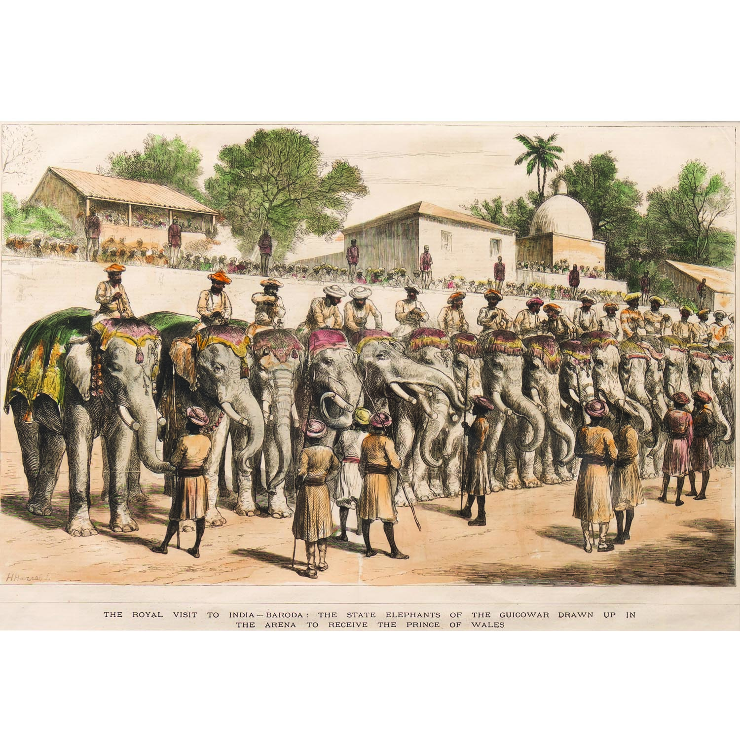 THE ROYAL VISIT TO INDIA-BARODA: THE STATE ELEPHANTS OF THE GUICOWAR DRAWN UP IN THE ARENA TO RECEIVE THE PRINCE OF WALES