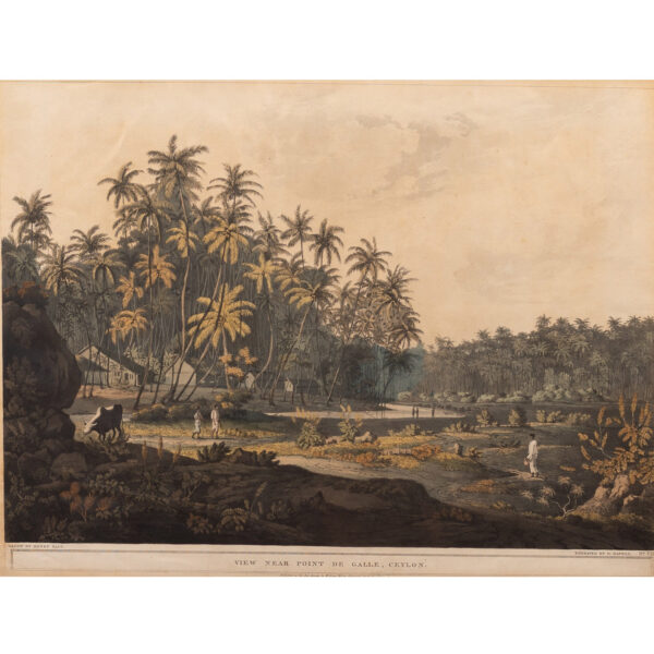 VIEW NEAR POINT DE GALLE, CEYLON